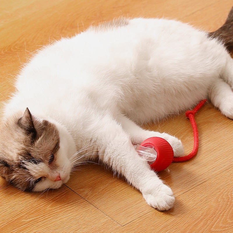 🎊Buy 2 Get Free Shipping🐱🐶Smart Automatic Rolling Pet Ball