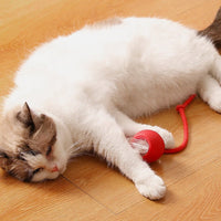 🎊Buy 2 Get Free Shipping🐱🐶Smart Automatic Rolling Pet Ball