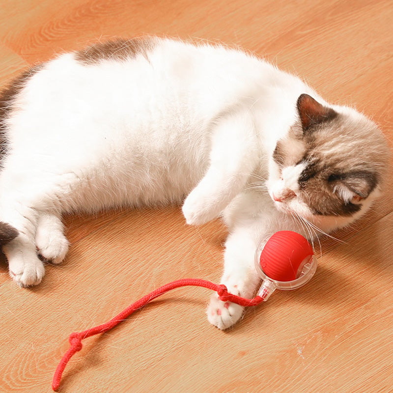 🎊Buy 2 Get Free Shipping🐱🐶Smart Automatic Rolling Pet Ball