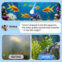 💥Hot sale 50% OFF♻️Powerful Aquarium Water Purification Tablet💧