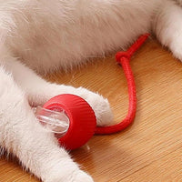 🎊Buy 2 Get Free Shipping🐱🐶Smart Automatic Rolling Pet Ball