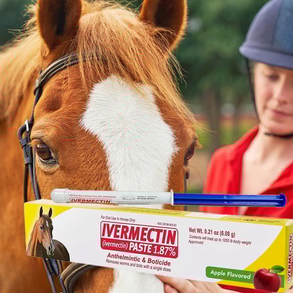 🔥LAST DAY SALE - BUY 2 FREE 1🔥ivermectin Horse Paste 1.87% 6.08g Tubes 3