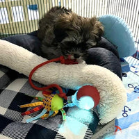 🎊Buy 2 Get Free Shipping🐱🐶Smart Automatic Rolling Pet Ball