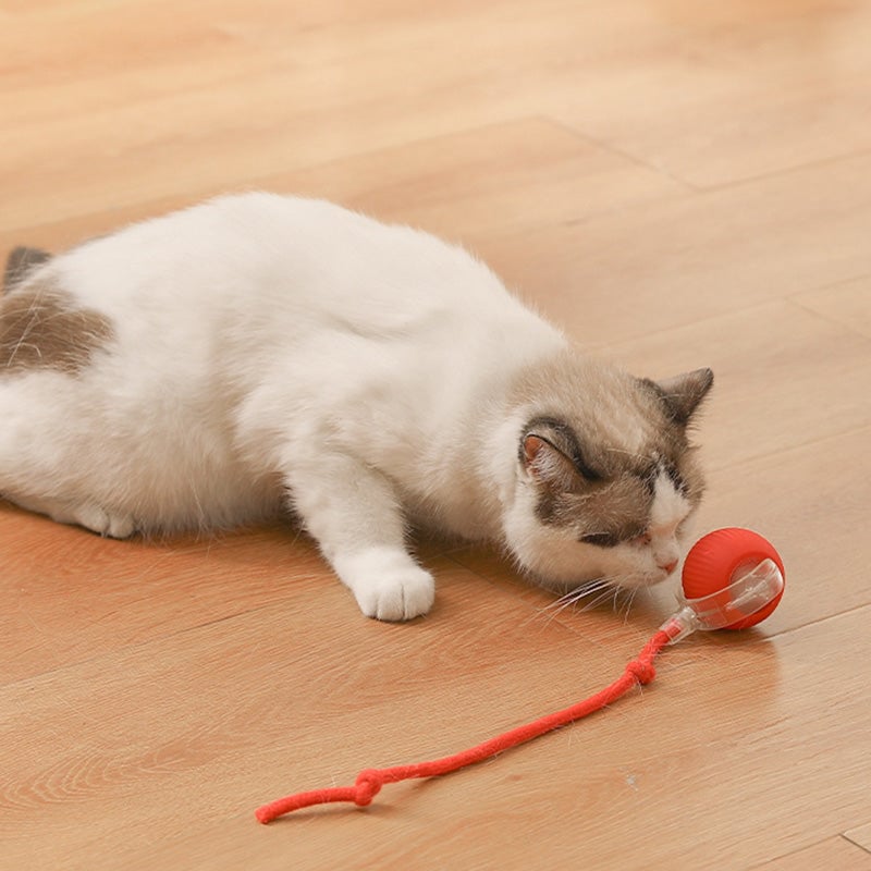 🎊Buy 2 Get Free Shipping🐱🐶Smart Automatic Rolling Pet Ball