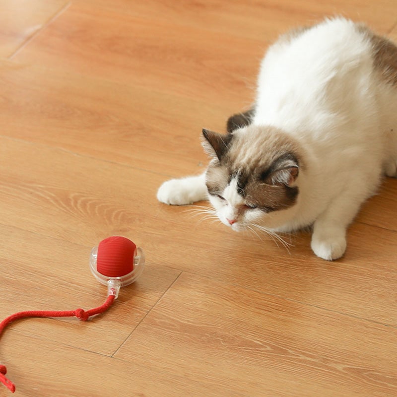 🎊Buy 2 Get Free Shipping🐱🐶Smart Automatic Rolling Pet Ball