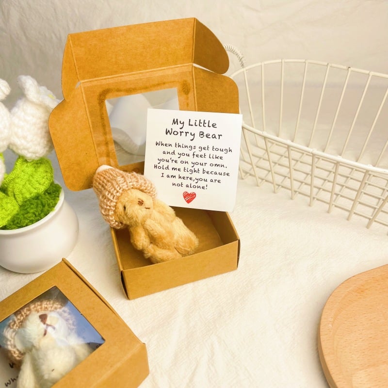 🎁Hot Sale!!🧸✨Little Bear in Box, My Little Worry Bear