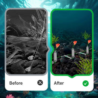 3 Hooks Anti Drift Bottom Fishing Rig