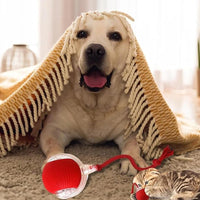 🎊Buy 2 Get Free Shipping🐱🐶Smart Automatic Rolling Pet Ball