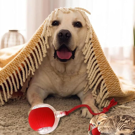 🎊Buy 2 Get Free Shipping🐱🐶Smart Automatic Rolling Pet Ball