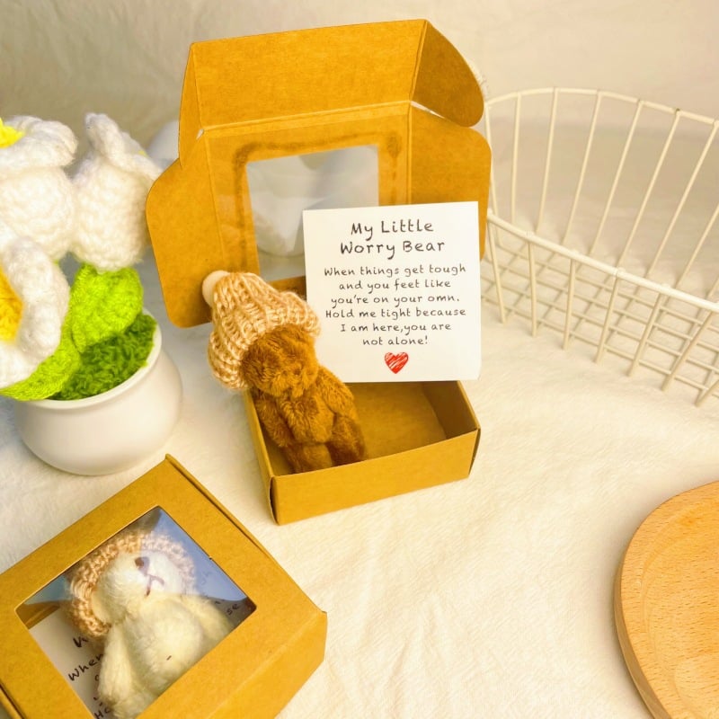 🎁Hot Sale!!🧸✨Little Bear in Box, My Little Worry Bear