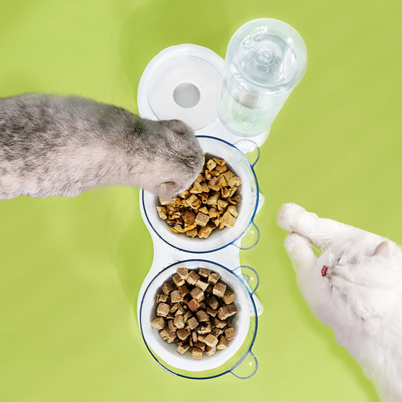 3-in-1 Pet Double Bowls with Automatic Water Dispenser